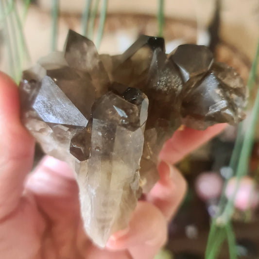 A polished smoky quartz crystal cluster held in a person's hand, with a blurred background.