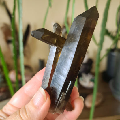 A polished smoky quartz crystal point being held in a person's hand, with a plant in the background.