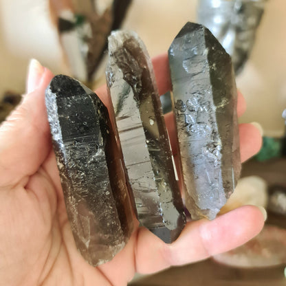 A collection of polished smoky quartz crystal points held in a person's hand.