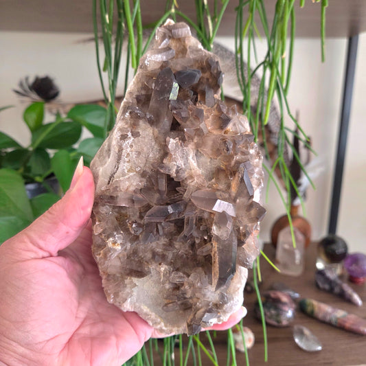 A hand holding a large smoky quartz crystal cluster with visible natural fractures and pointed crystal points, set against a background of indoor plants and other crystals.