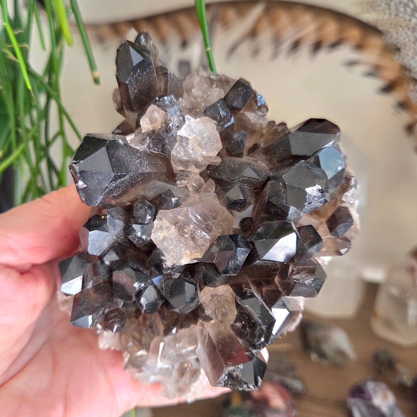 Smoky Quartz Cluster