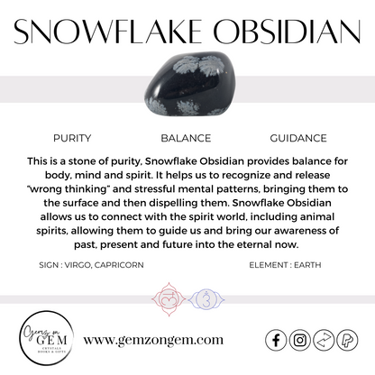 Snowflake Obsidian Tumble - Small