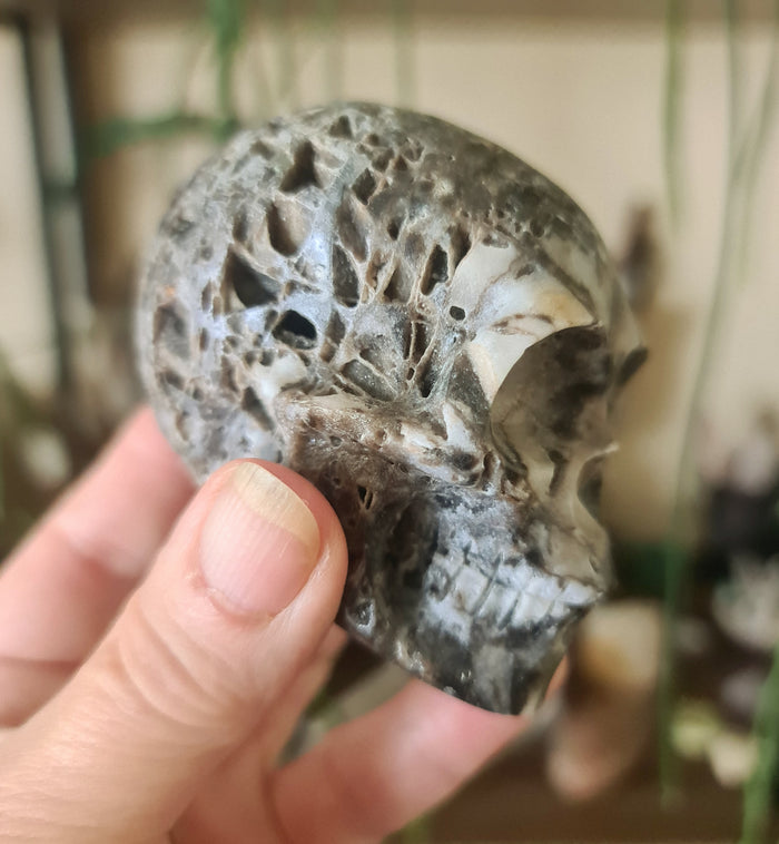 A hand holding a Sphalerite skull-shaped stone, with a blurred background suggesting a indoor setting