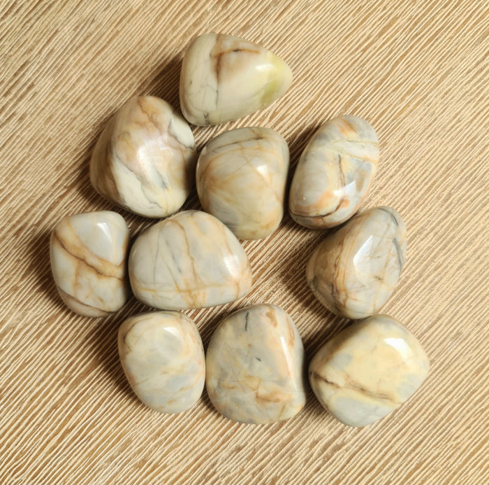 A collection of polished Spider Web Jasper stones with a marbled white and brown appearance, displayed on a beige background.