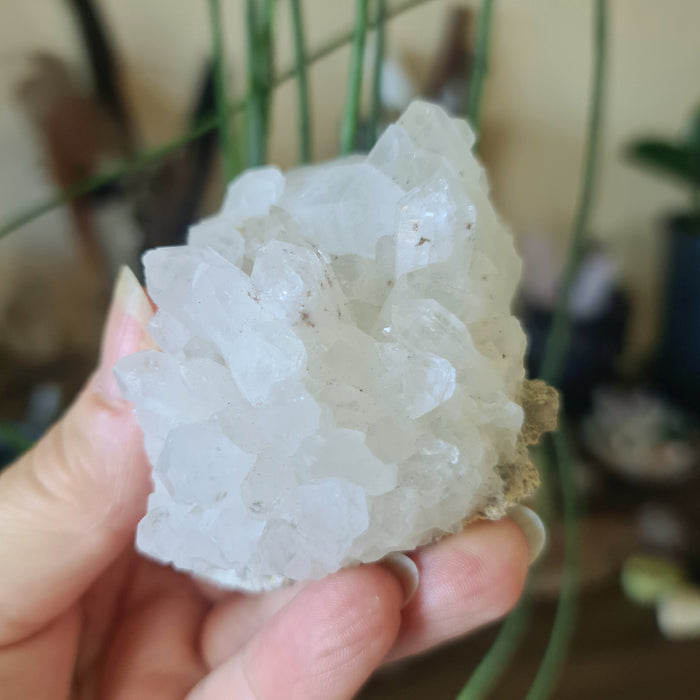 A hand holding a polished spirit quartz crystal with a rough, natural edge visible.