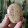 Sunstone Palm