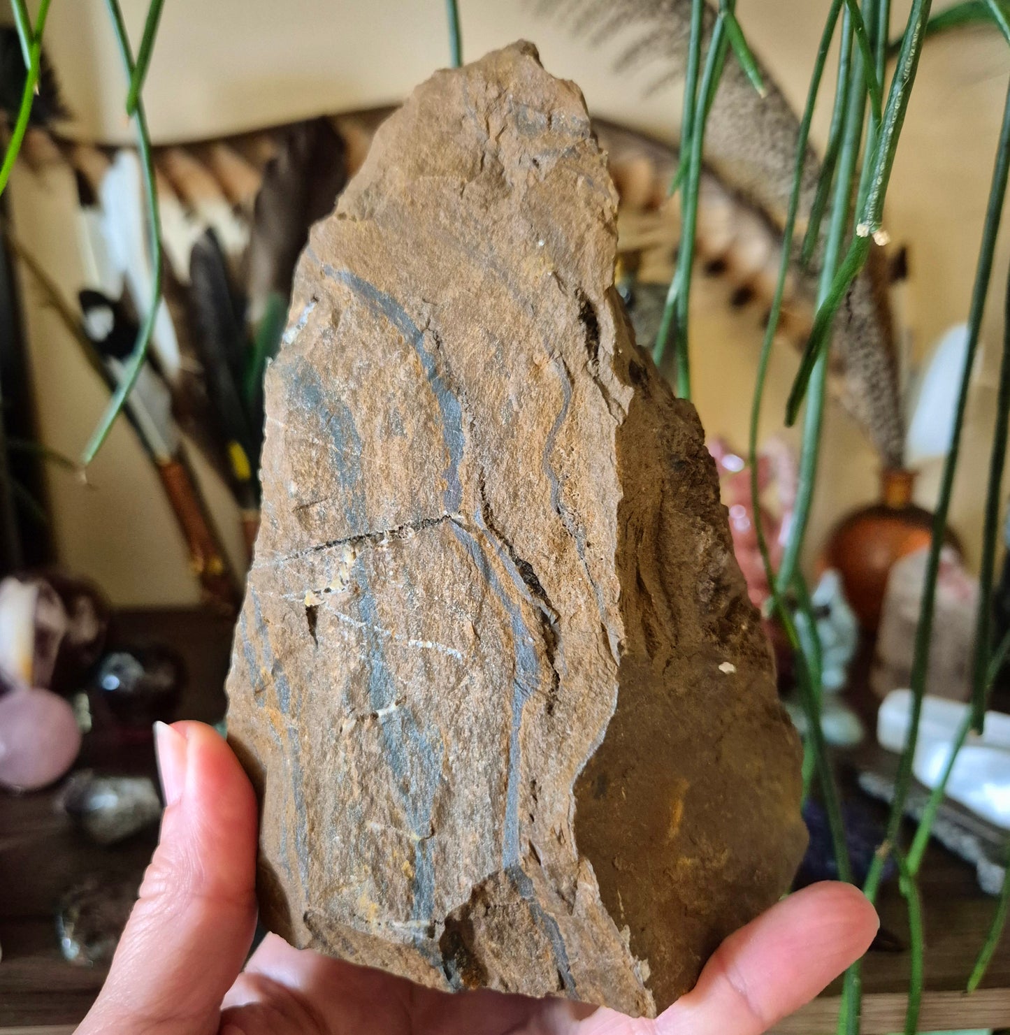 A close-up image of a raw Tiger Eye freeform crystal held in a person's hand.