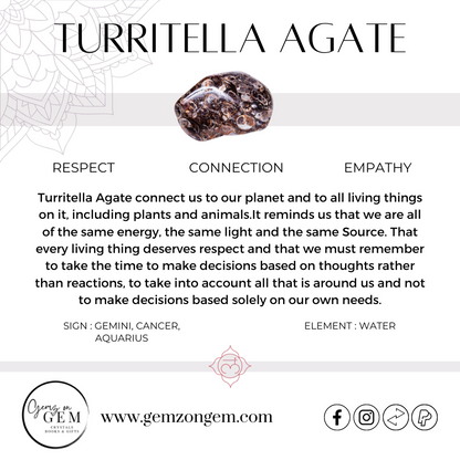 Turritella Agate Pendant