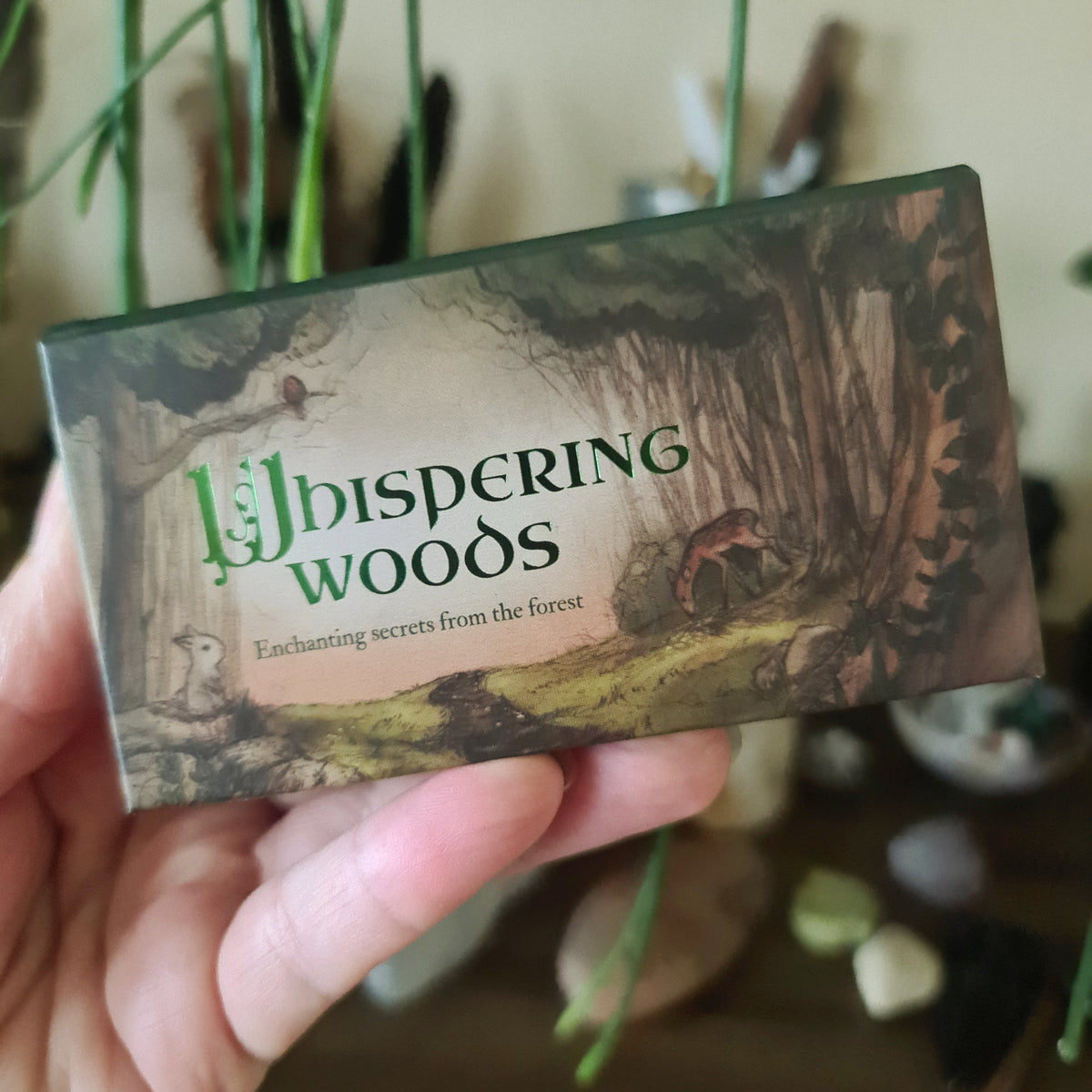 A hand holding a magnetic closure box with 'Whispering Woods' written on it, featuring an illustration of a forest scene.