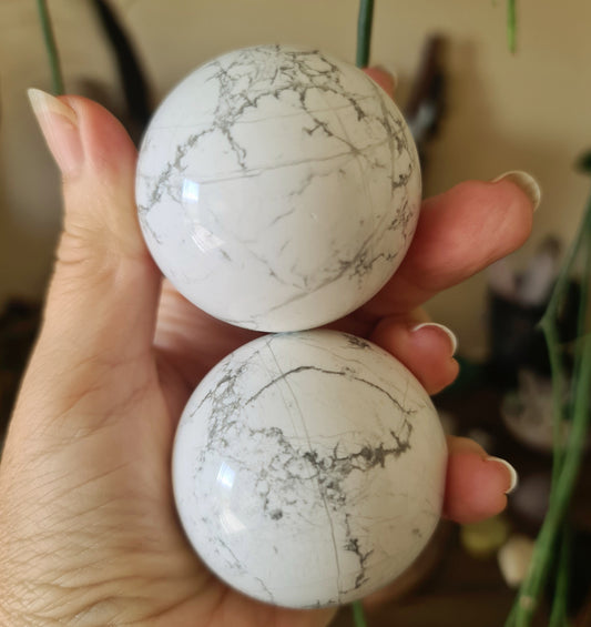 Two polished white howlite spheres held in a person's hand, with a plant in the background.