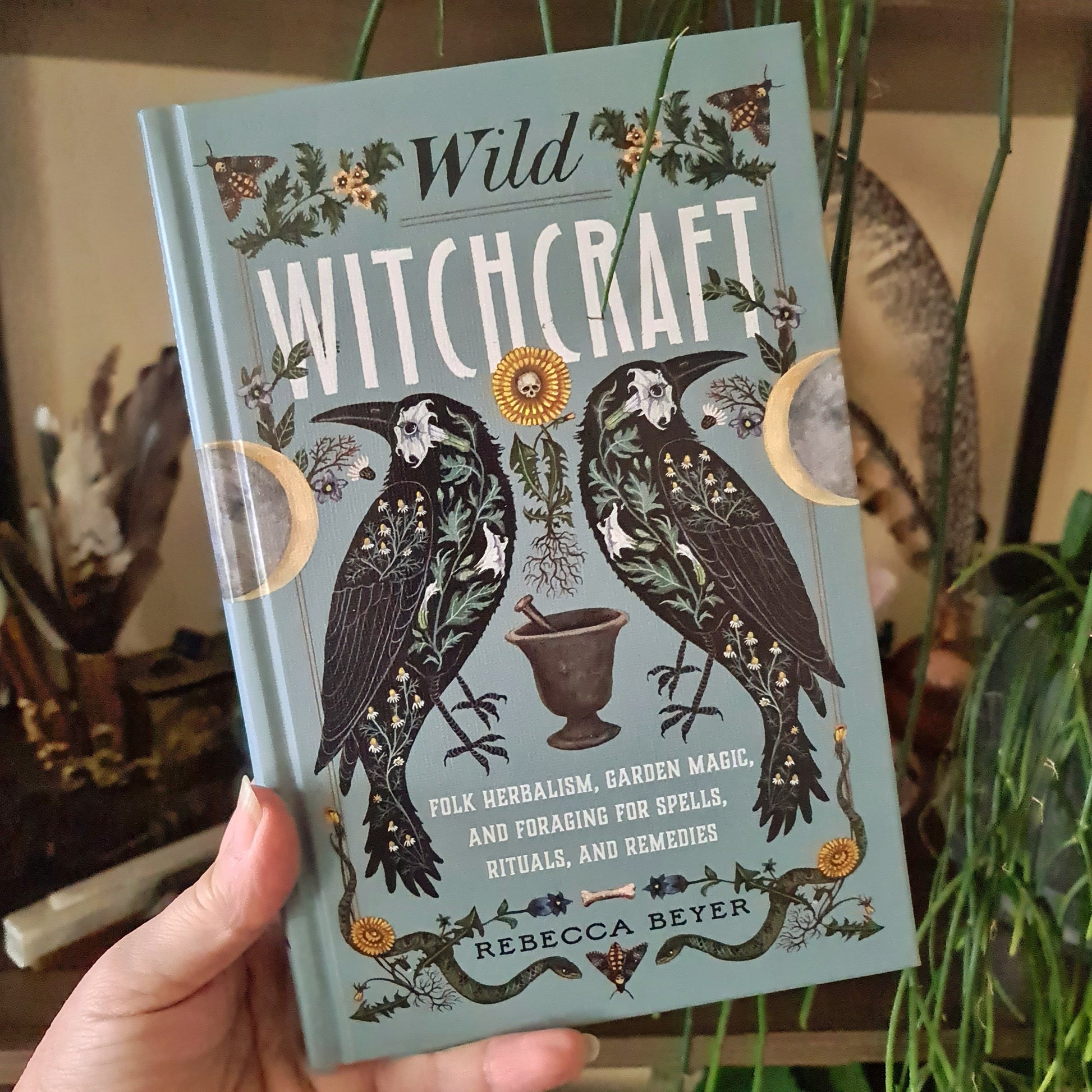 A hand holding a book titled 'Wild Witchcraft' by Rebecca Beyer, featuring a cover with an illustration of two stylized black owls, a moon, and green foliage.