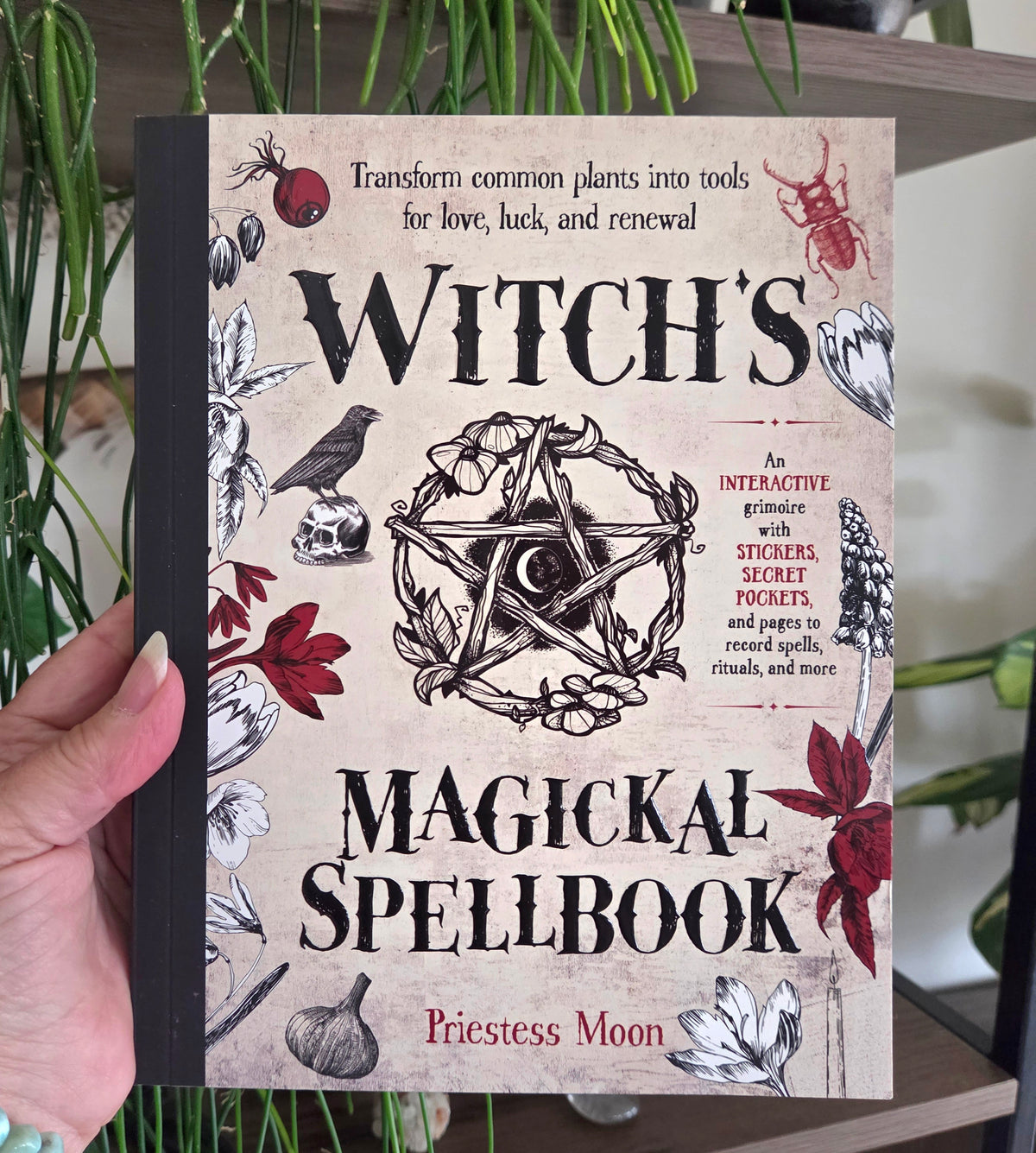 A hand holds a hardcover book titled "Witch's Magickal Spellbook" by Priestess Moon. The cover has a beige parchment-style background with black text, a central pentagram illustration, and red and black botanical and animal drawings.