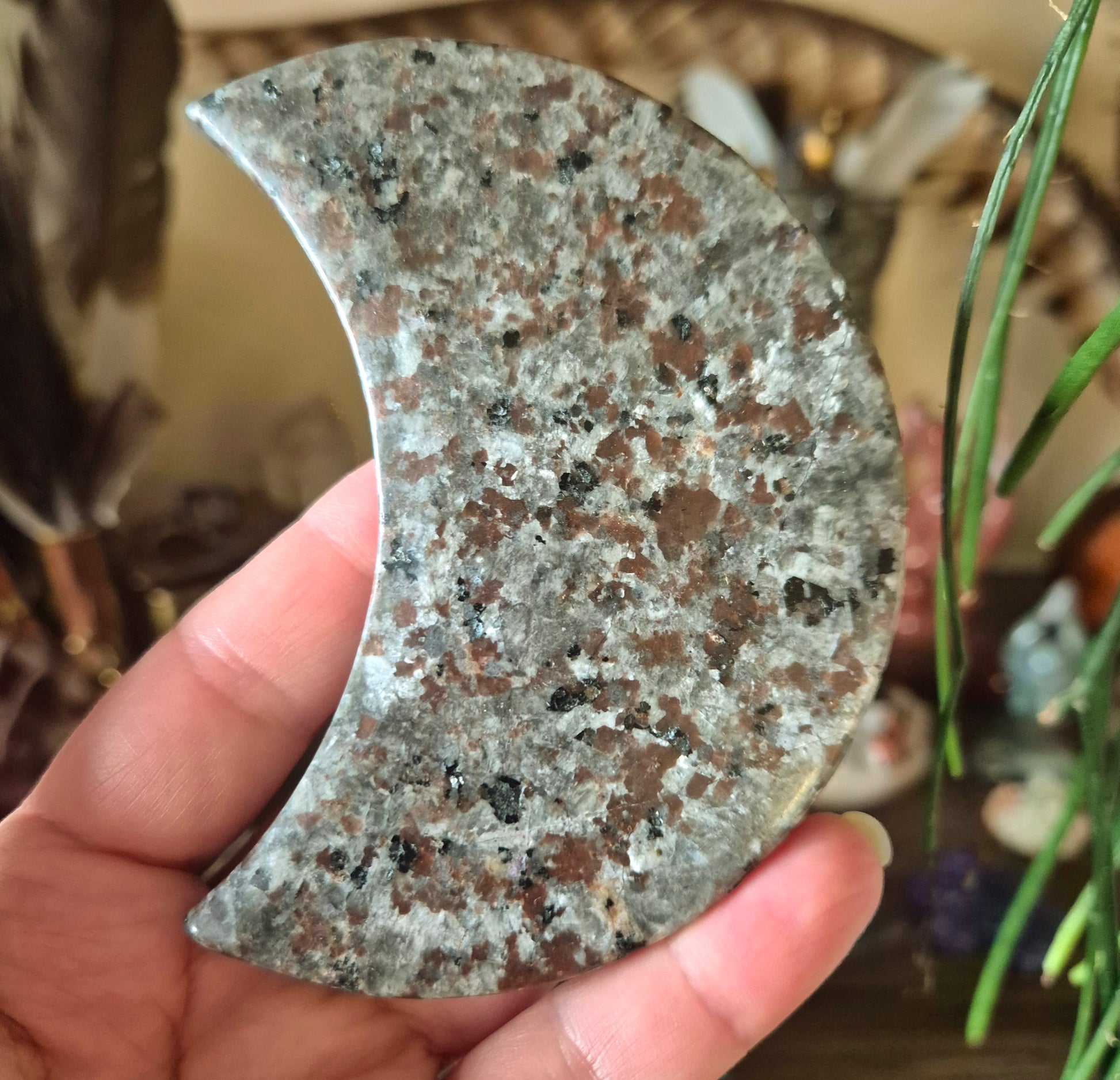 A polished crescent-shaped stone with a brown and gray marbled pattern, held in a person's hand.