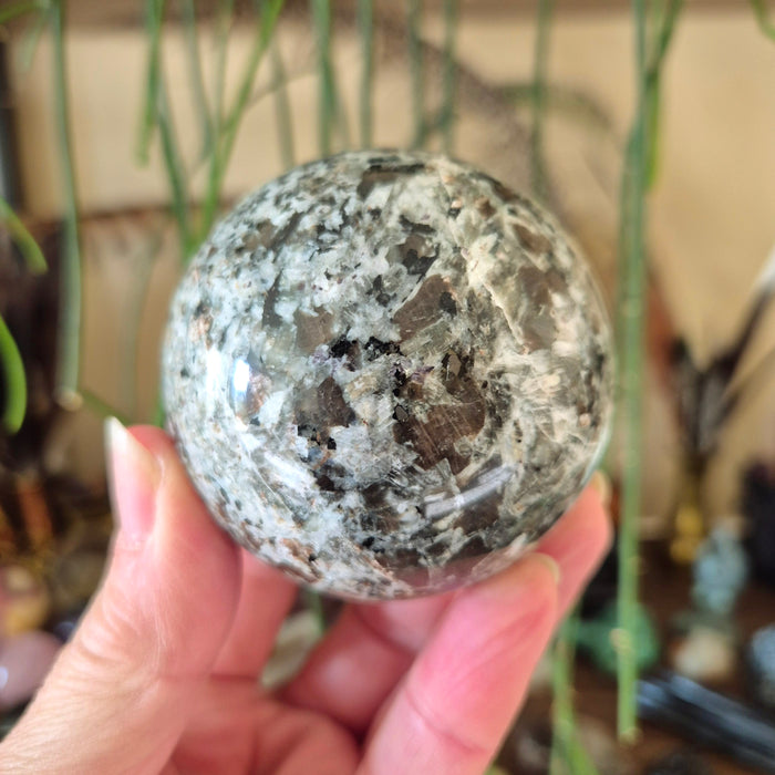A polished spherical rock specimen held in a person's hand, with a blurred plant background.