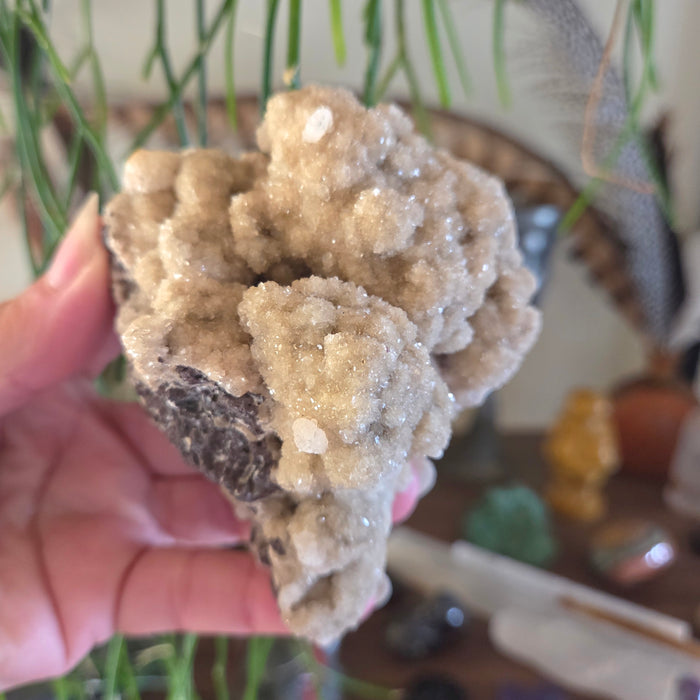 Hand holding a crystal rock with a blurred indoor background