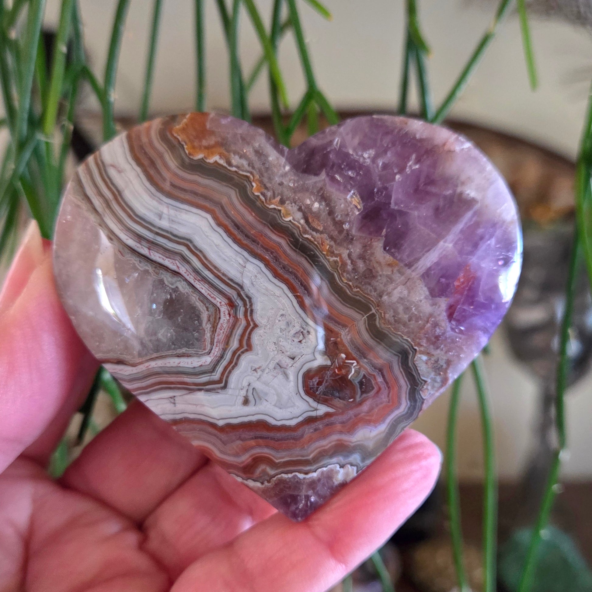 Hand holding a multicolored stone with a plant in the background