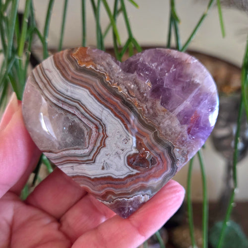 Hand holding a multicolored stone with a plant in the background