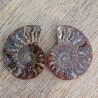 Two halves of a fossilized ammonite on a wooden surface