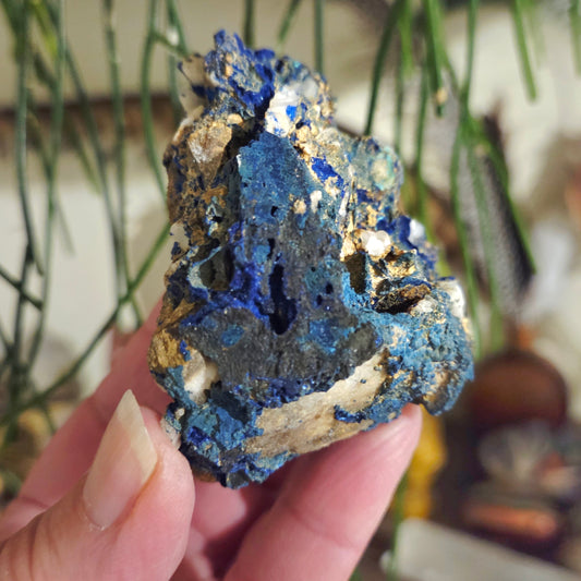 Hand holding a blue and gold mineral specimen with a blurred natural background
