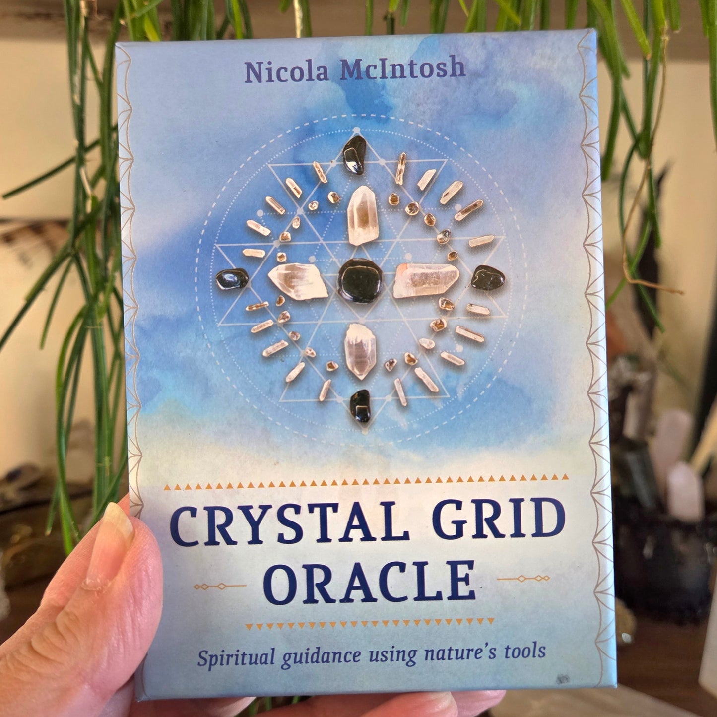 Book titled 'Crystal Grid Oracle' by Nicola McIntosh held in front of a plant.