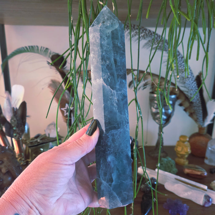Hand holding a blue crystal in front of a decorative background with plants and trinkets.