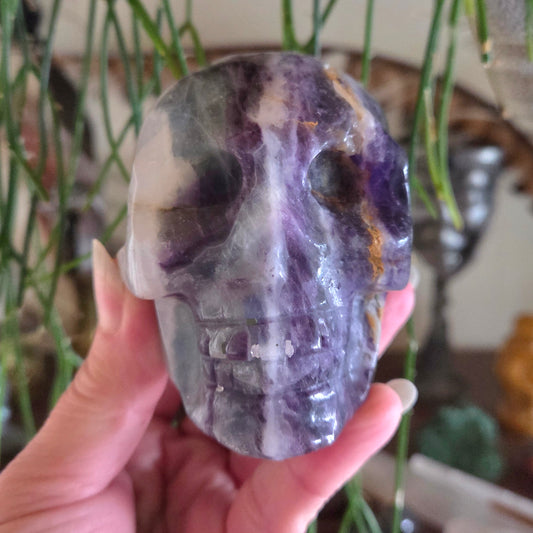 Crystal skull held by a hand with a blurred indoor background