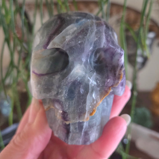Crystal skull held by a hand with a blurred indoor background