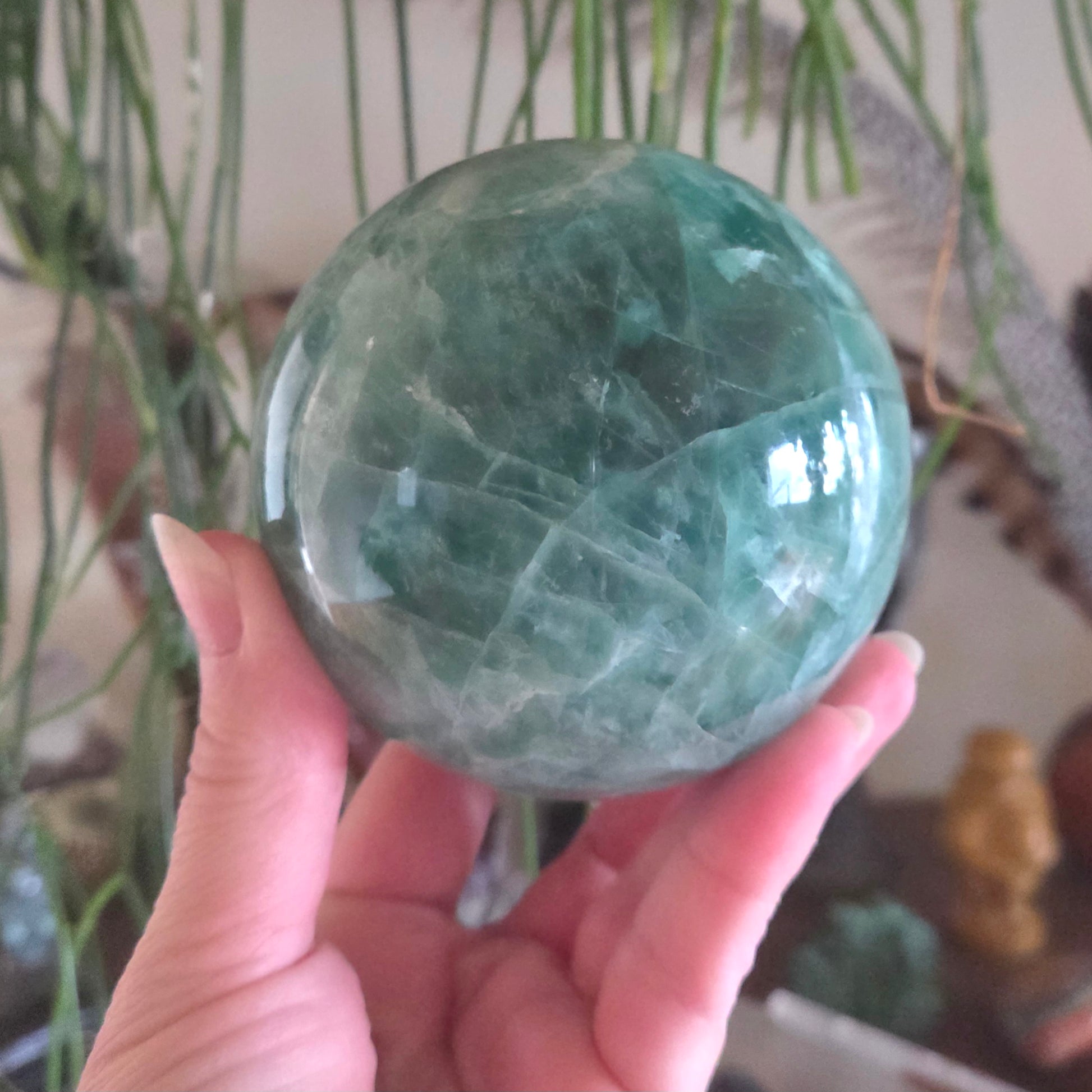 Hand holding a green crystal sphere with plants in the background