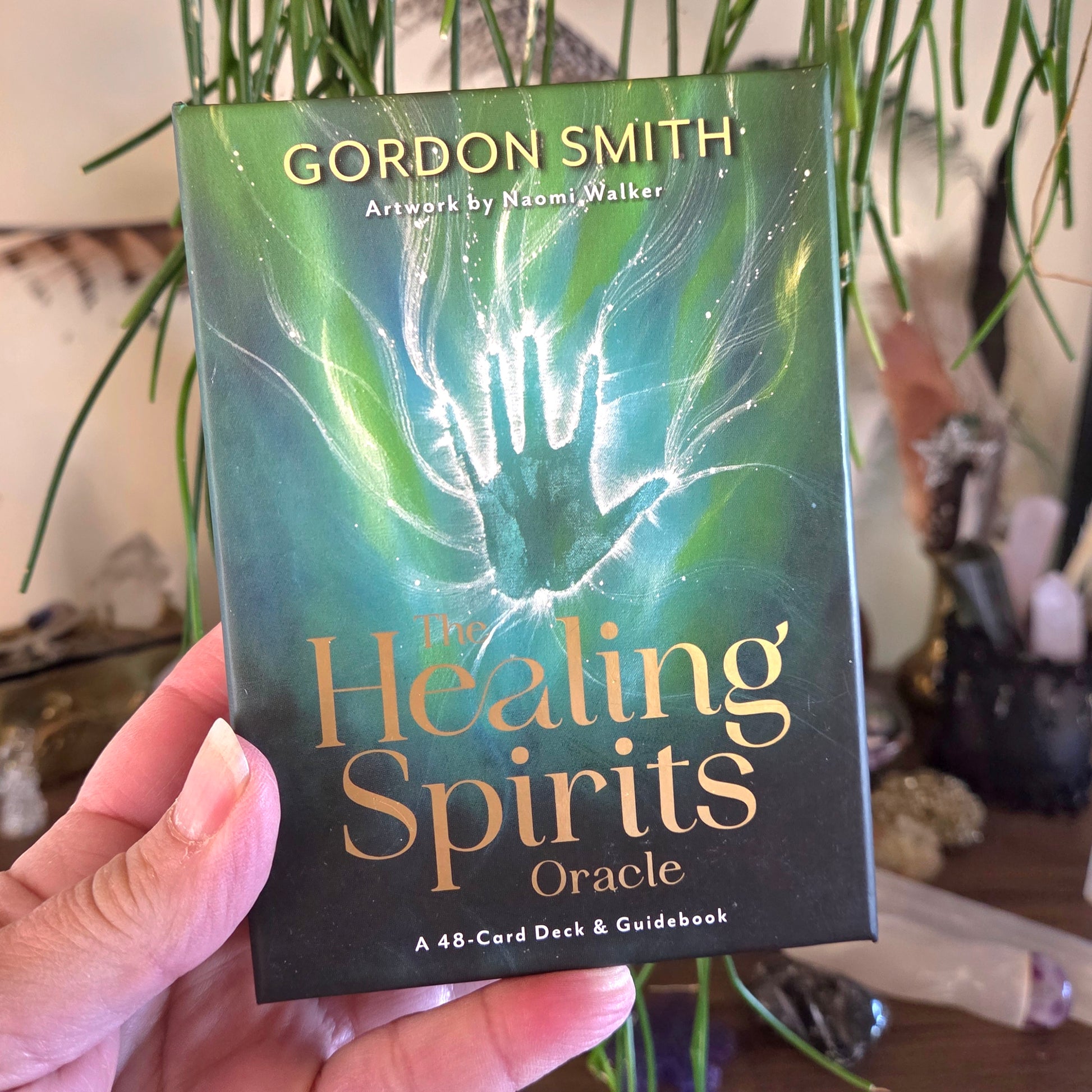 Book titled 'The Healing Spirits Oracle' by Gordon Smith held in front of a plant.