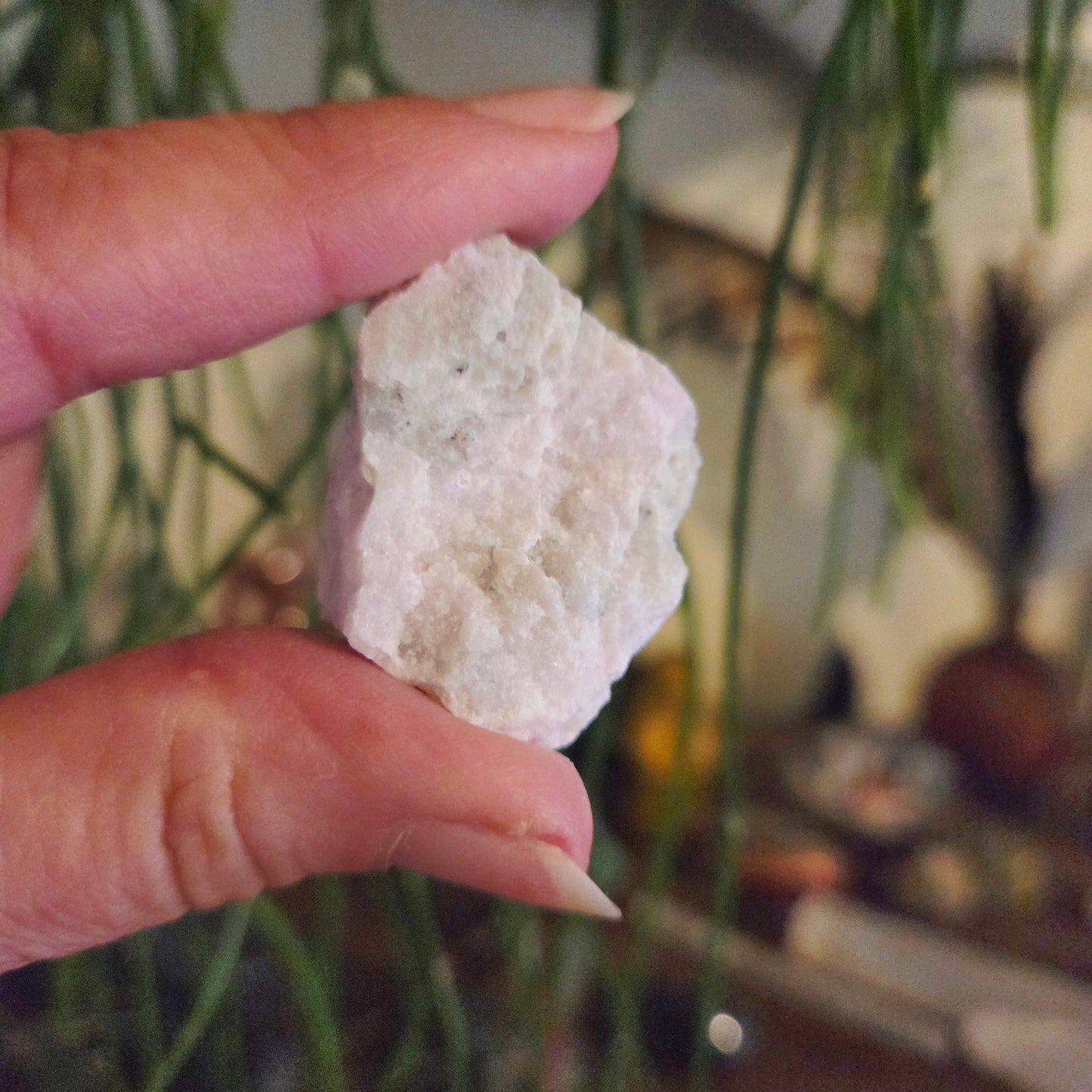 Hand holding a white crystal rock with a blurred natural background