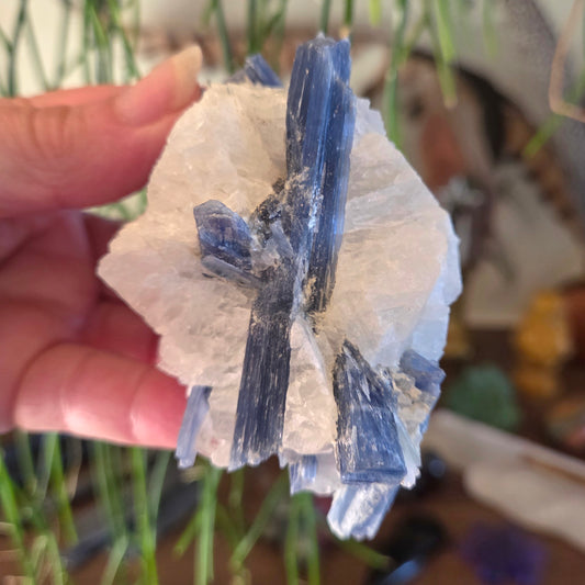 Hand holding a crystal with blue and white minerals against a blurred indoor background