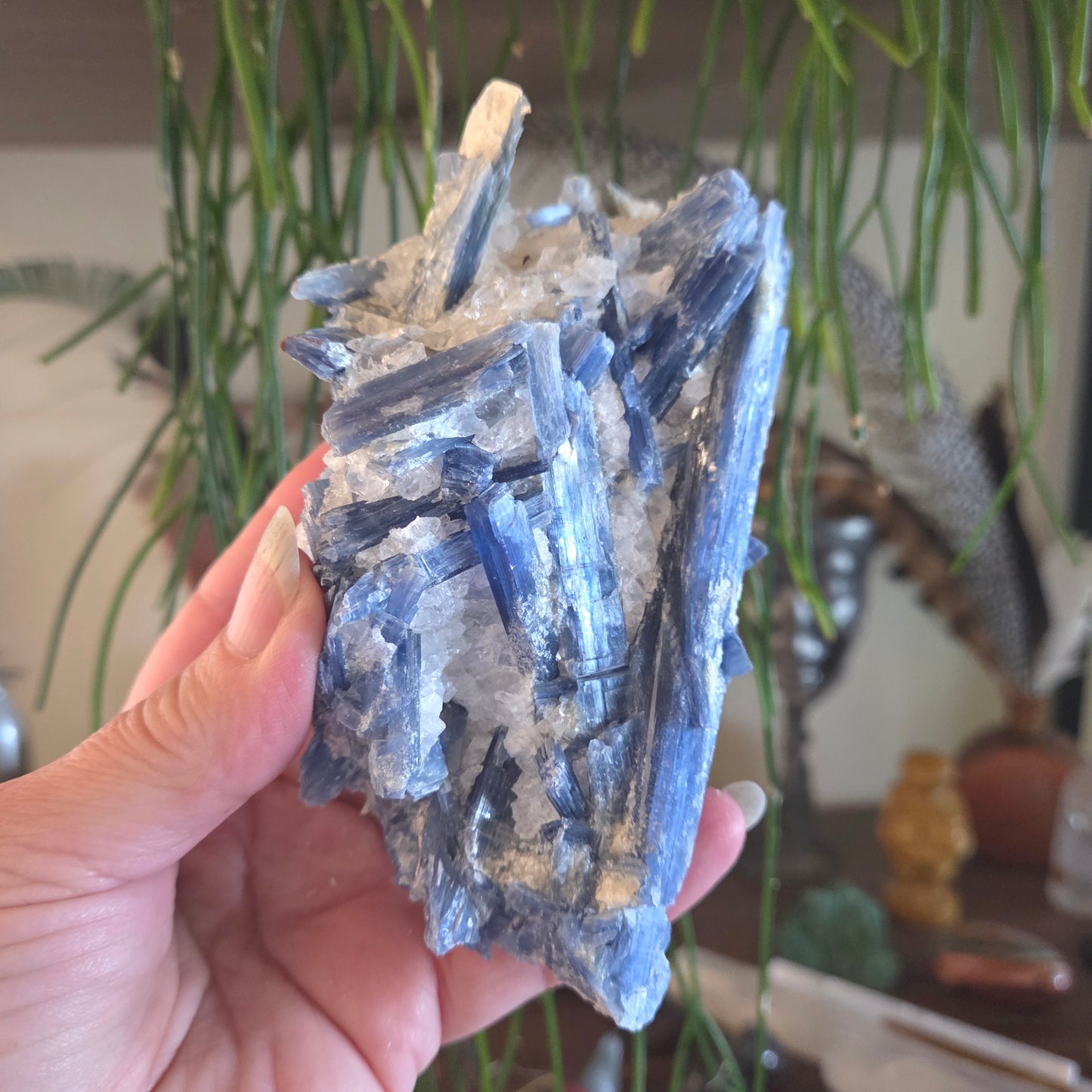 Hand holding a large blue crystal with a blurred indoor background