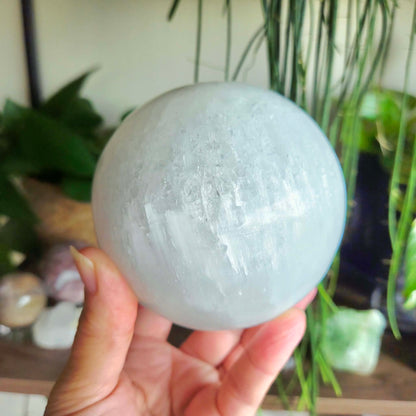 Hand holding a large crystal ball with plants in the background