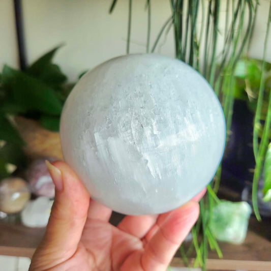 Hand holding a large crystal ball with plants in the background