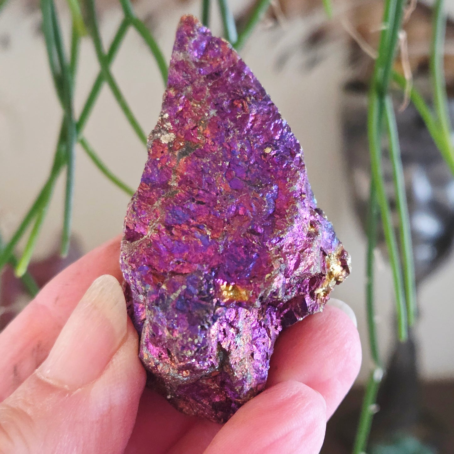 Hand holding a colorful crystal with a blurred natural background