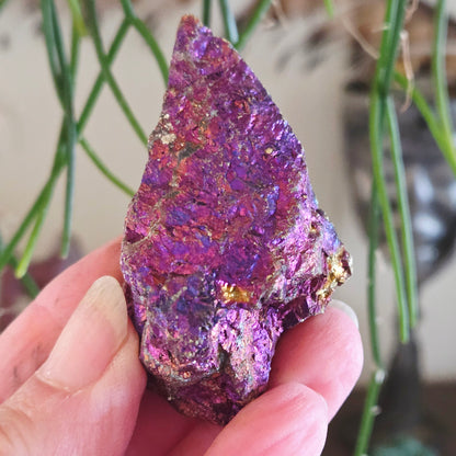 Hand holding a colorful crystal with a blurred natural background