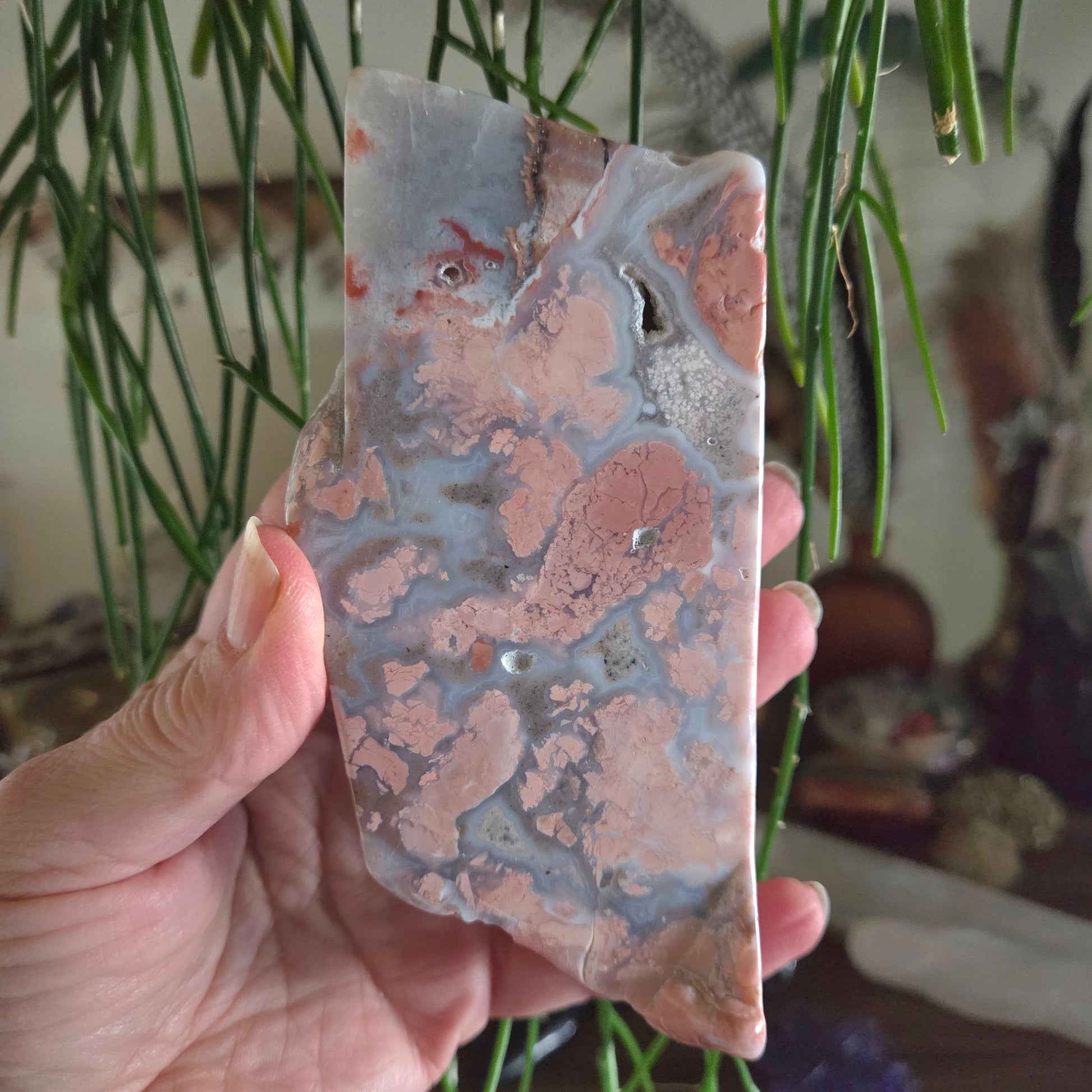 Hand holding a marbled stone with a plant in the background