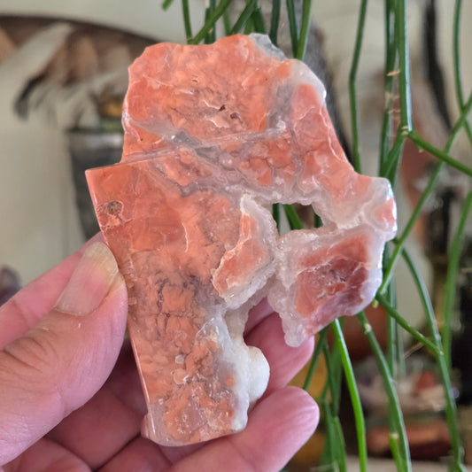 Hand holding a large crystal with a natural pattern, blurred green plants in the background
