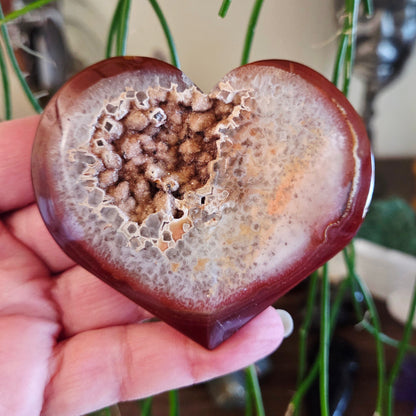 Heart-shaped geode held in a hand with blurred green plants in the background