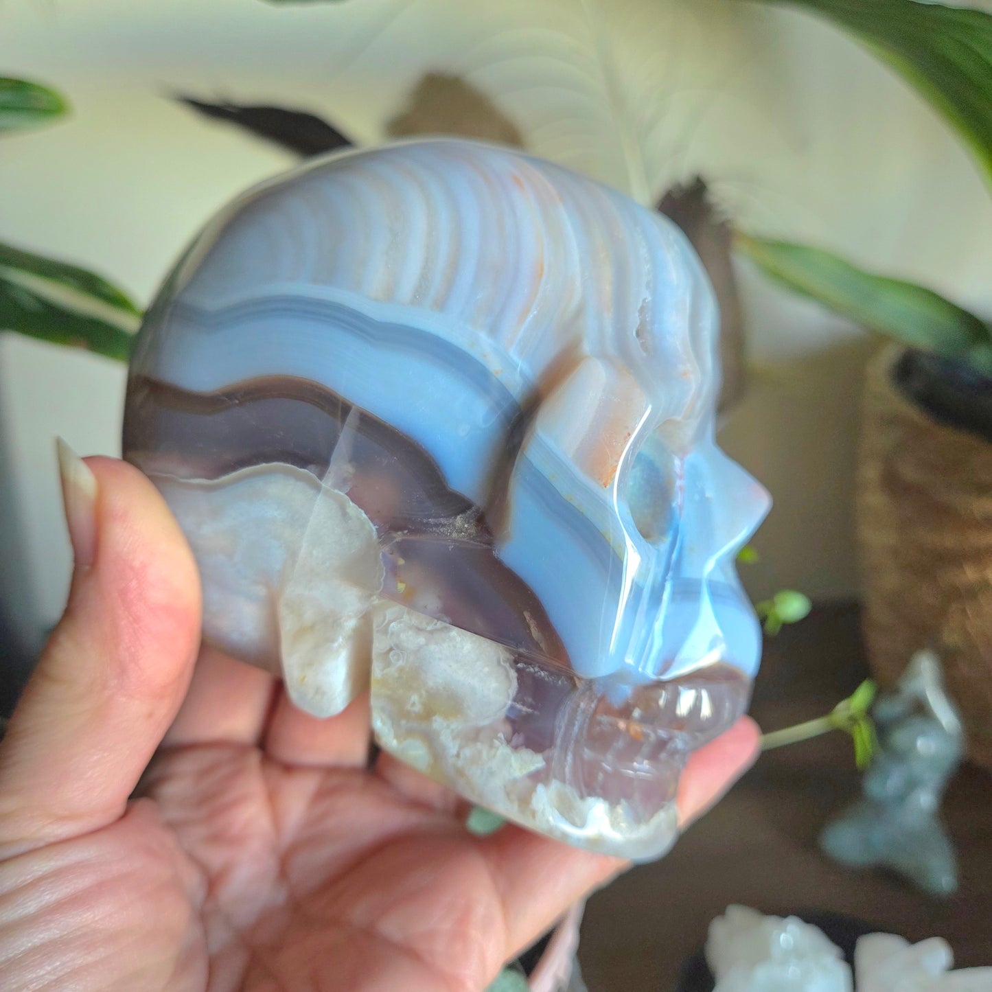 Blue Lace & Flower Agate Skull 1.01Kg