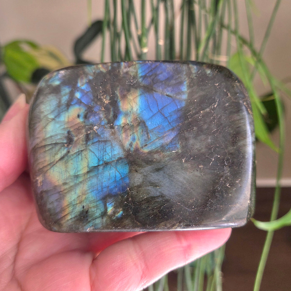 Labradorite Freeform