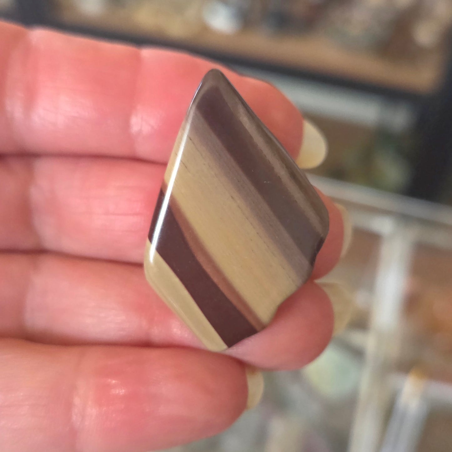 Zebra Stone Tumble
