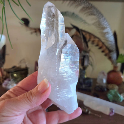 Lemurian Point