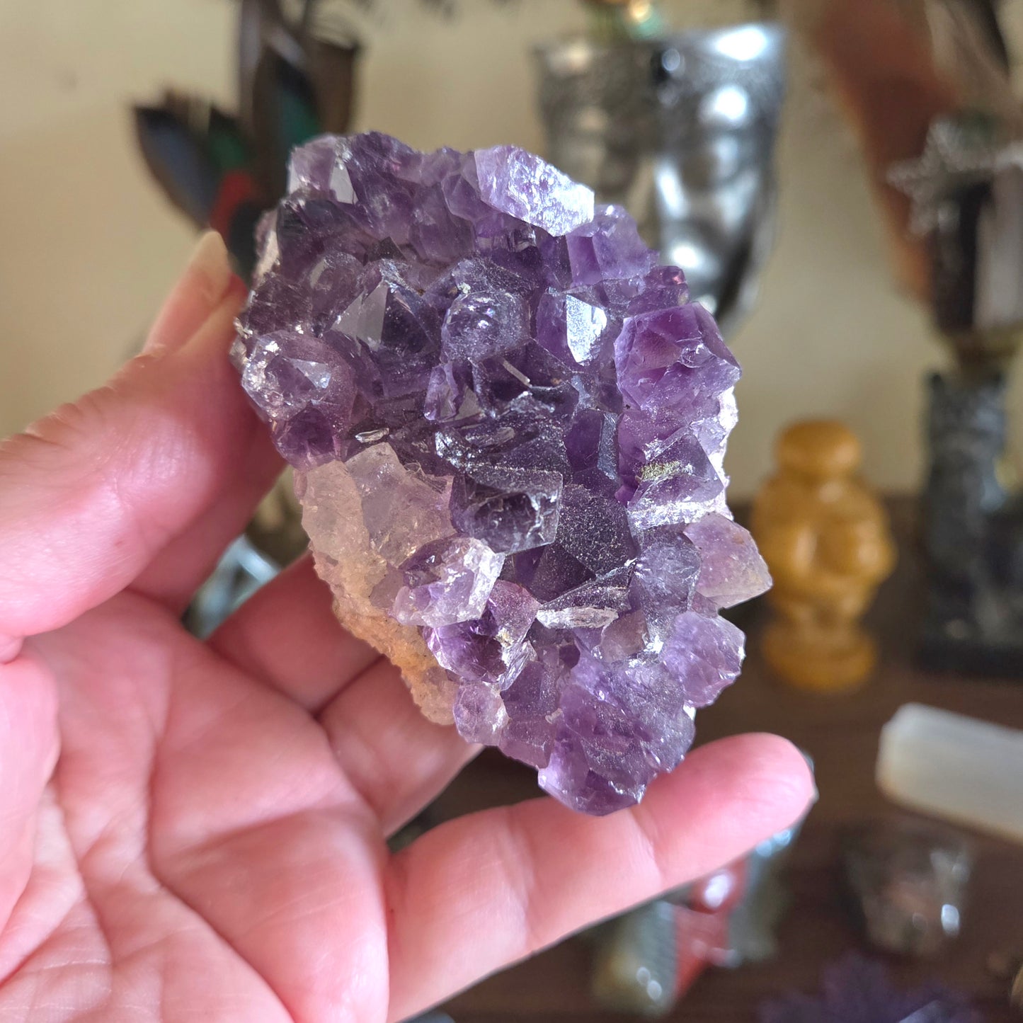 Amethyst Cluster