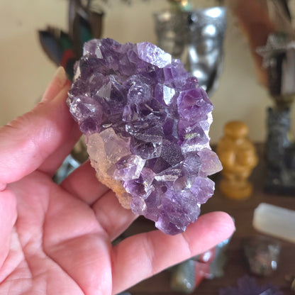 Amethyst Cluster