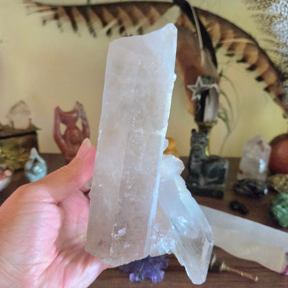 Lemurian Point
