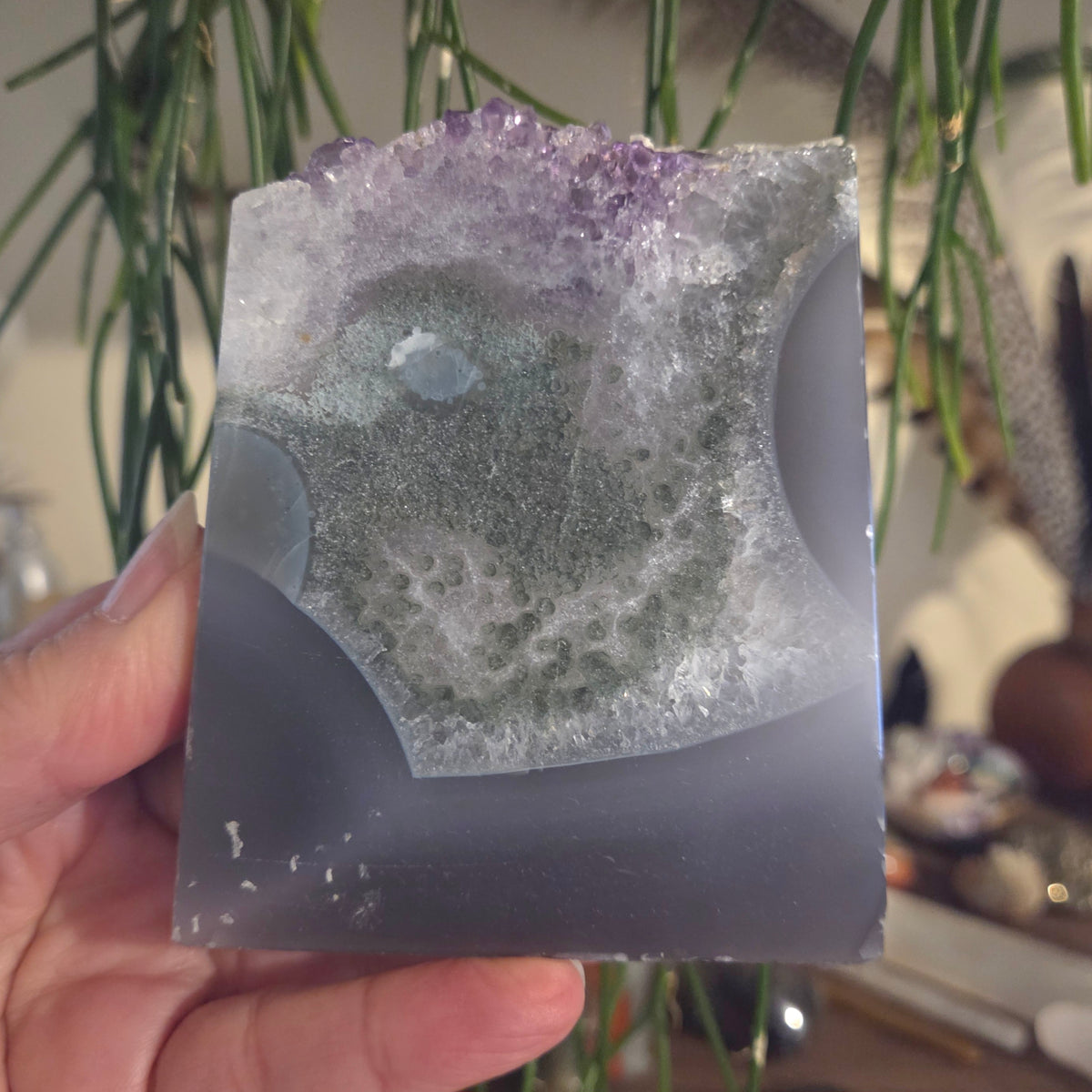 Amethyst Citrine Slice