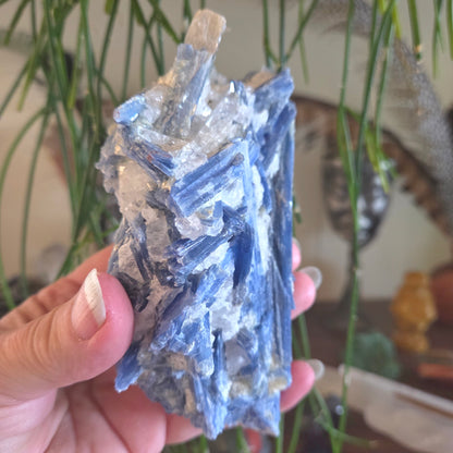 Kyanite In Quartz 697gm