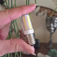 Led 5W Bulb