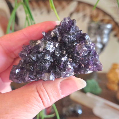 Amethyst Cluster